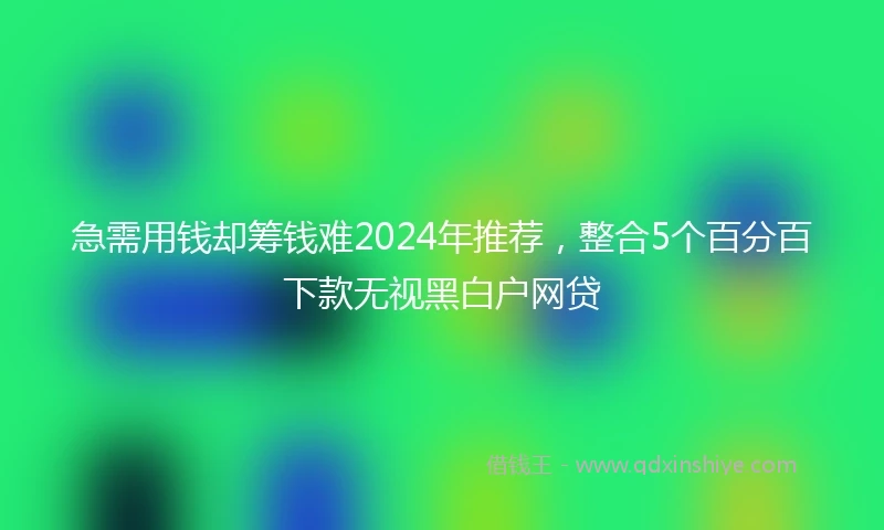 急需用钱却筹钱难2024年推荐，整合5个百分百下款无视黑白户网贷