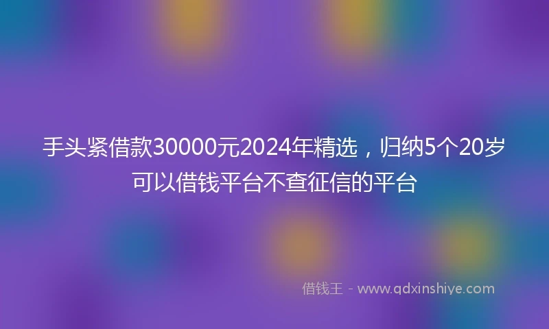 手头紧借款30000元2024年精选，归纳5个20岁可以借钱平台不查征信的平台