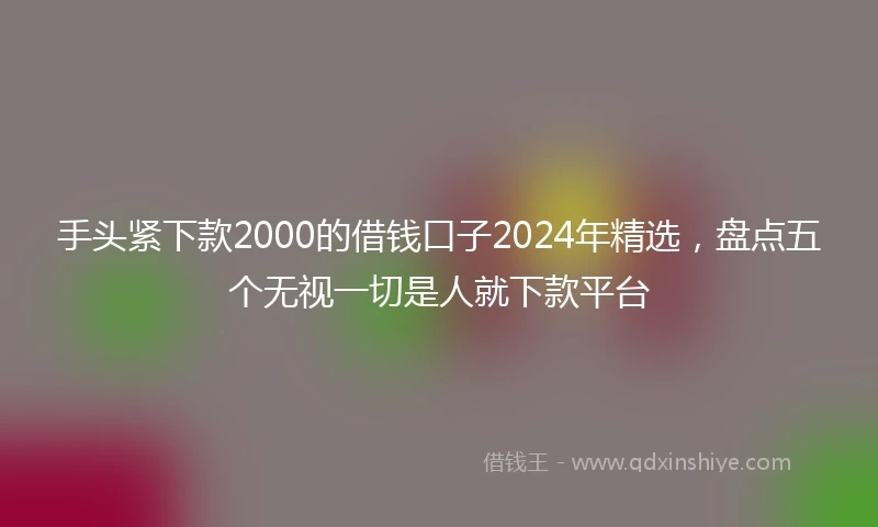 手头紧下款2000的借钱口子2024年精选,盘点五个无视一切是人就下款平台