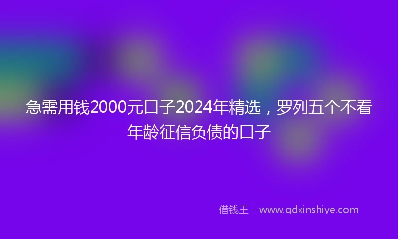 急需用钱2000元口子2024年精选，罗列五个不看年龄征信负债的口子