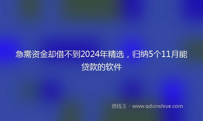 急需资金却借不到2024年精选，归纳5个11月能贷款的软件