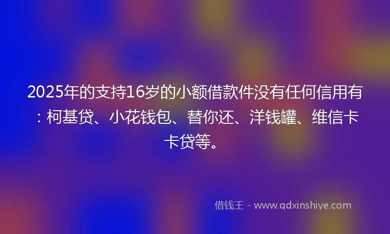 2025年的支持16岁的小额借款件没有任何信用有：柯基贷、小花钱包、替你还、洋钱罐、维信卡卡贷等。