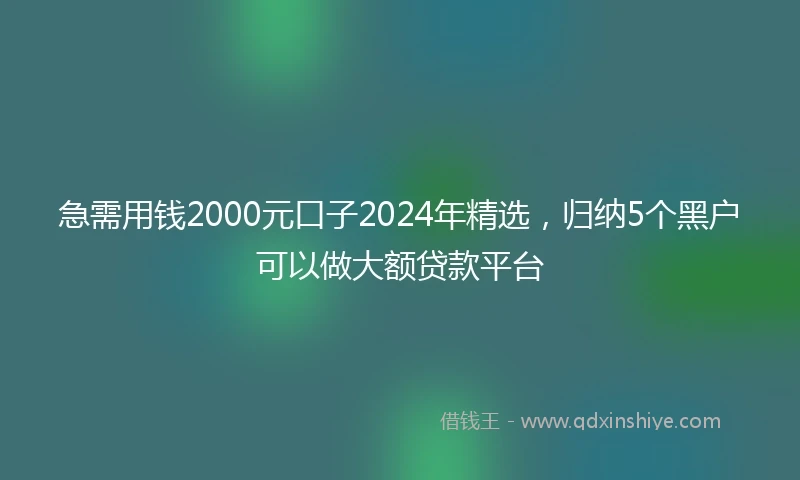 急需用钱2000元口子2024年精选，归纳5个黑户可以做大额贷款平台