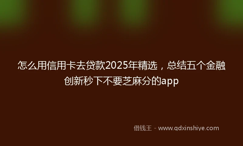 怎么用信用卡去贷款2025年精选，总结五个金融创新秒下不要芝麻分的app