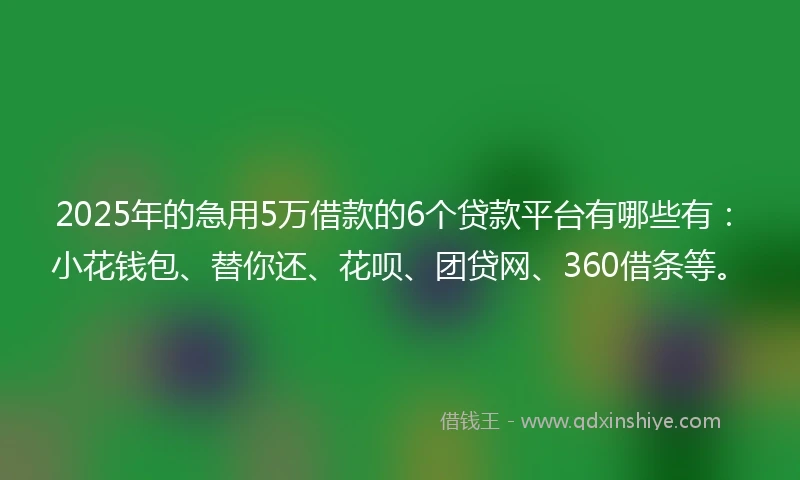 2025年的急用5万借款的6个贷款平台有哪些有：小花钱包、替你还、花呗、团贷网、360借条等。