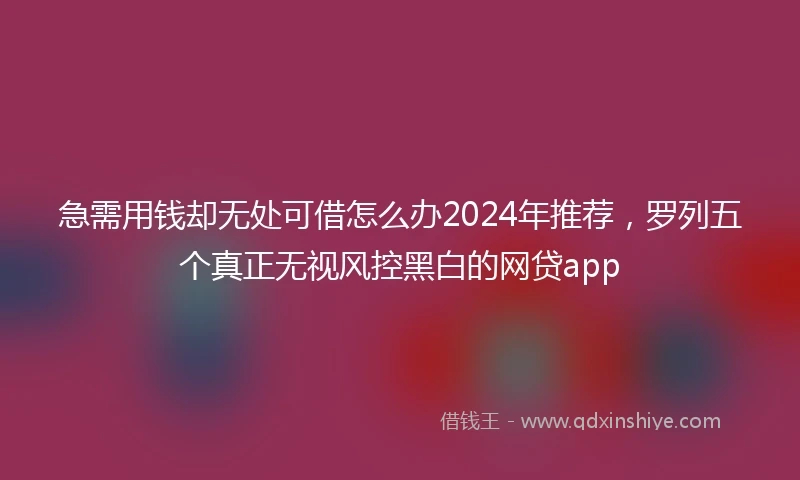 急需用钱却无处可借怎么办2024年推荐，罗列五个真正无视风控黑白的网贷app