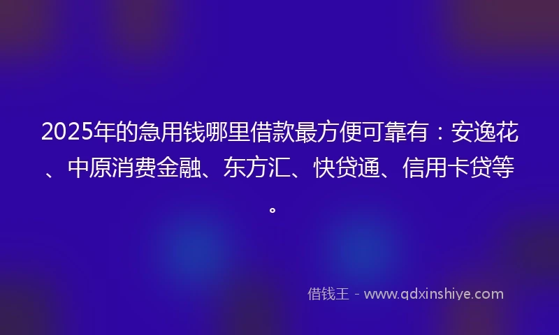 2025年的急用钱哪里借款最方便可靠有：安逸花、中原消费金融、东方汇、快贷通、信用卡贷等。