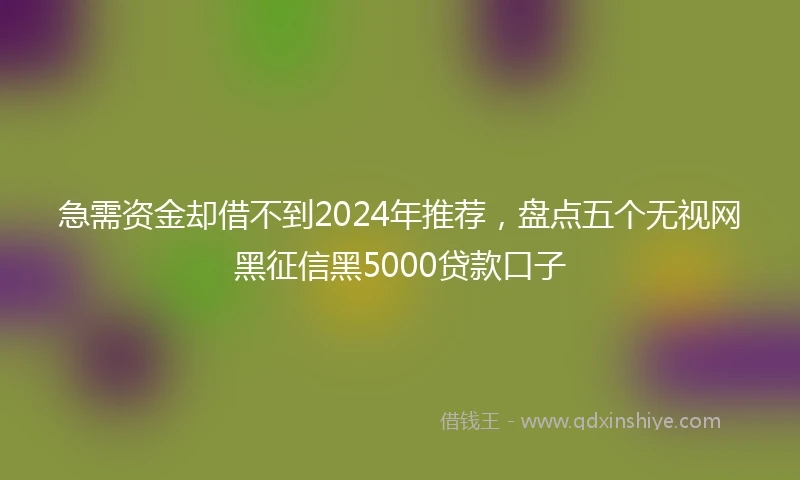急需资金却借不到2024年推荐，盘点五个无视网黑征信黑5000贷款口子
