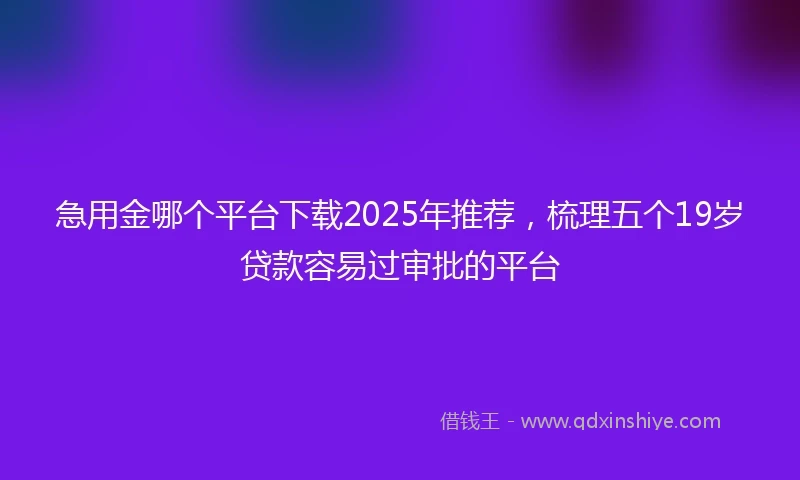 急用金哪个平台下载2025年推荐，梳理五个19岁贷款容易过审批的平台