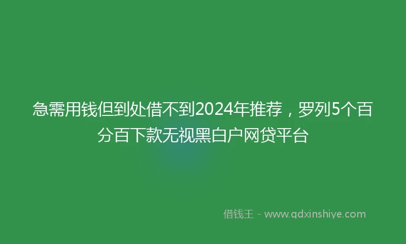 急需用钱但到处借不到2024年推荐，罗列5个百分百下款无视黑白户网贷平台