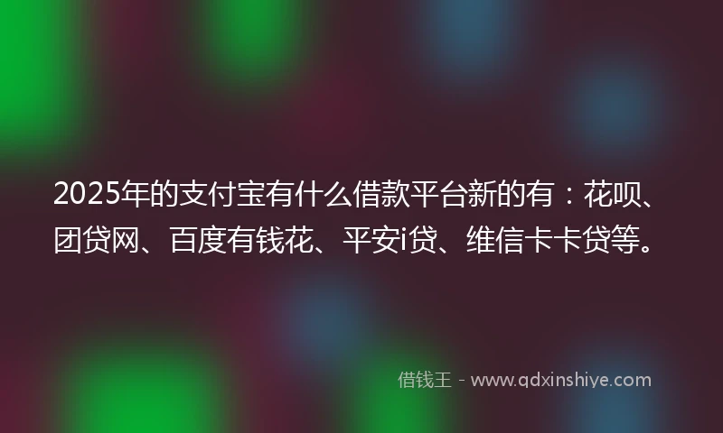 2025年的支付宝有什么借款平台新的有：花呗、团贷网、百度有钱花、平安i贷、维信卡卡贷等。