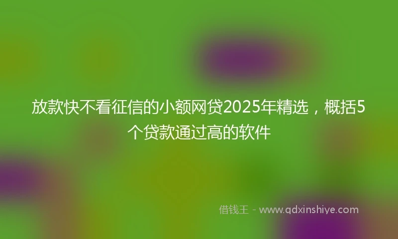放款快不看征信的小额网贷2025年精选，概括5个贷款通过高的软件