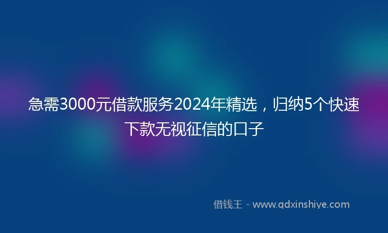 急需3000元借款服务2024年精选，归纳5个快速下款无视征信的口子