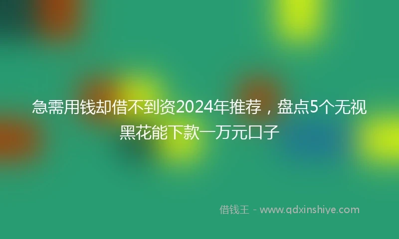 急需用钱却借不到资2024年推荐，盘点5个无视黑花能下款一万元口子