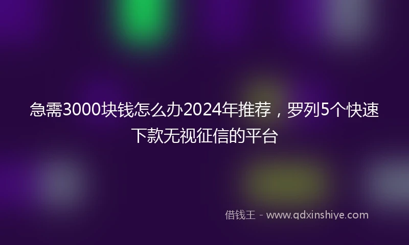 急需3000块钱怎么办2024年推荐，罗列5个快速下款无视征信的平台