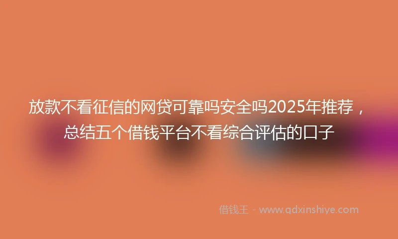 放款不看征信的网贷可靠吗安全吗2025年推荐，总结五个借钱平台不看综合评估的口子