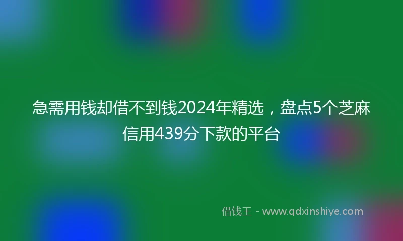 急需用钱却借不到钱2024年精选，盘点5个芝麻信用439分下款的平台