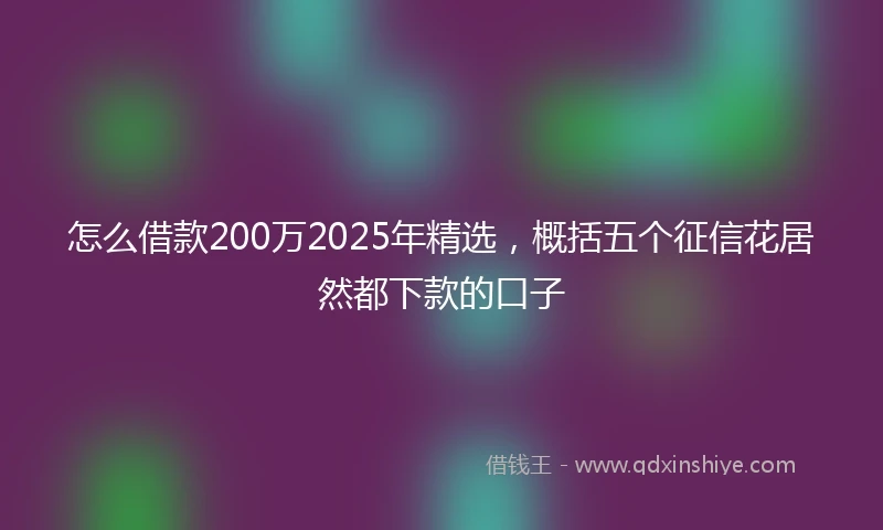 怎么借款200万2025年精选，概括五个征信花居然都下款的口子