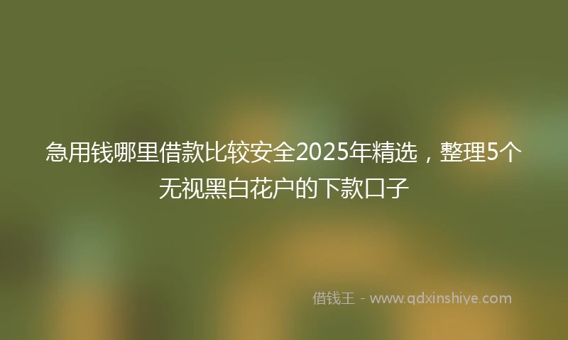 急用钱哪里借款比较安全2025年精选，整理5个无视黑白花户的下款口子