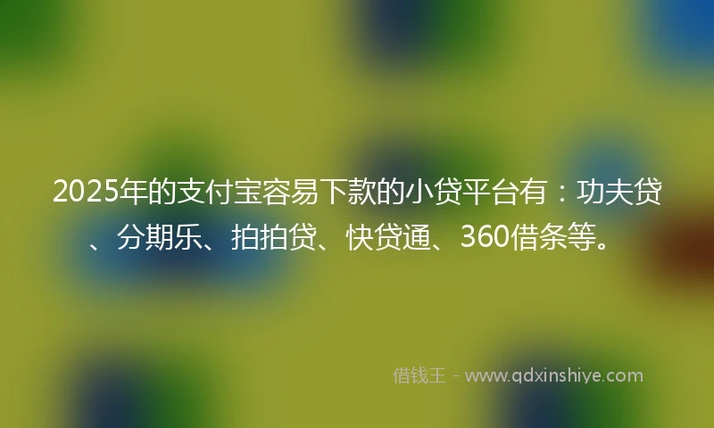 2025年的支付宝容易下款的小贷平台有：功夫贷、分期乐、拍拍贷、快贷通、360借条等。
