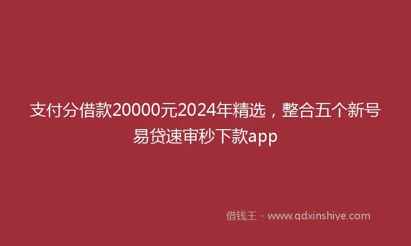 支付分借款20000元2024年精选，整合五个新号易贷速审秒下款app