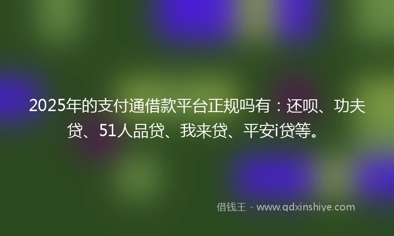 2025年的支付通借款平台正规吗有：还呗、功夫贷、51人品贷、我来贷、平安i贷等。