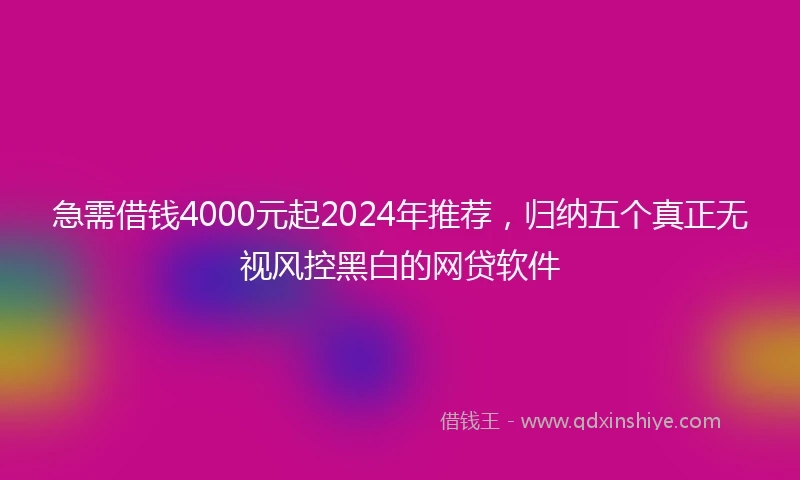 急需借钱4000元起2024年推荐，归纳五个真正无视风控黑白的网贷软件