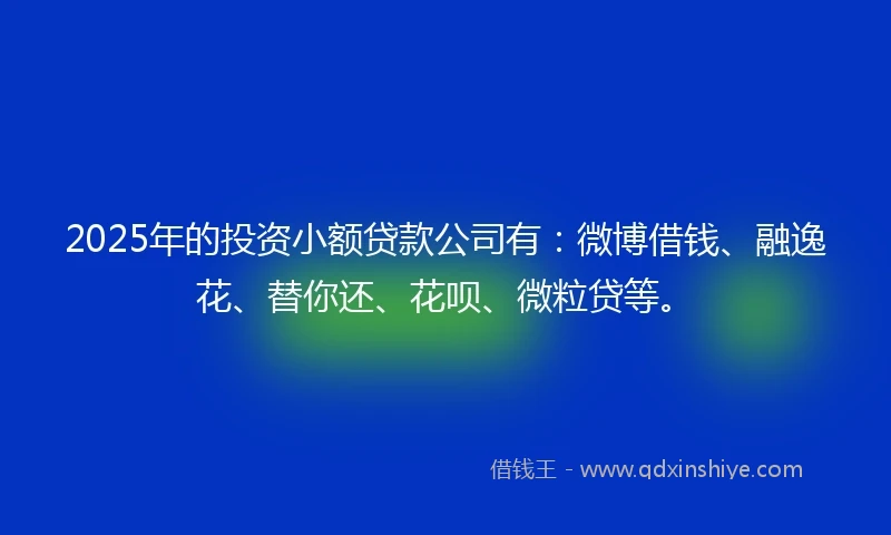 2025年的投资小额贷款公司有：微博借钱、融逸花、替你还、花呗、微粒贷等。