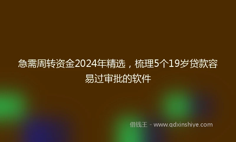 急需周转资金2024年精选，梳理5个19岁贷款容易过审批的软件