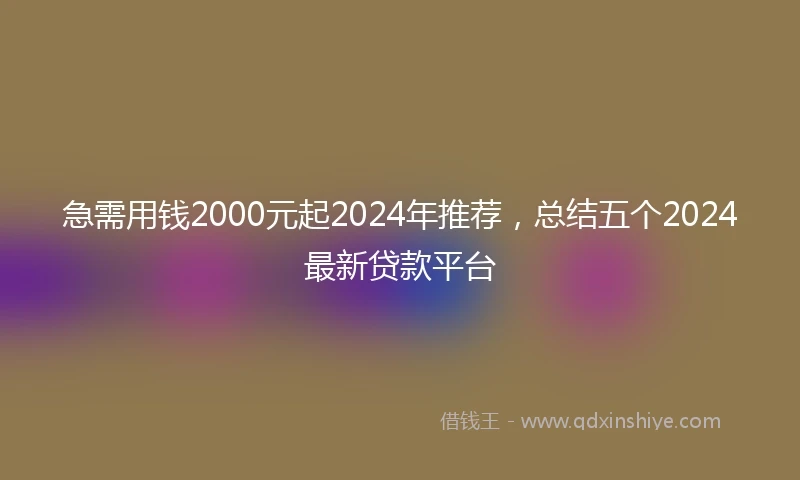 急需用钱2000元起2024年推荐，总结五个2024最新贷款平台