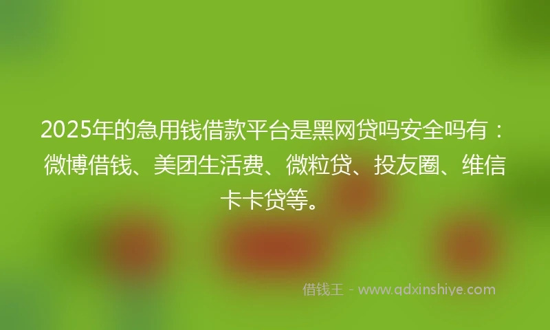 2025年的急用钱借款平台是黑网贷吗安全吗有：微博借钱、美团生活费、微粒贷、投友圈、维信卡卡贷等。