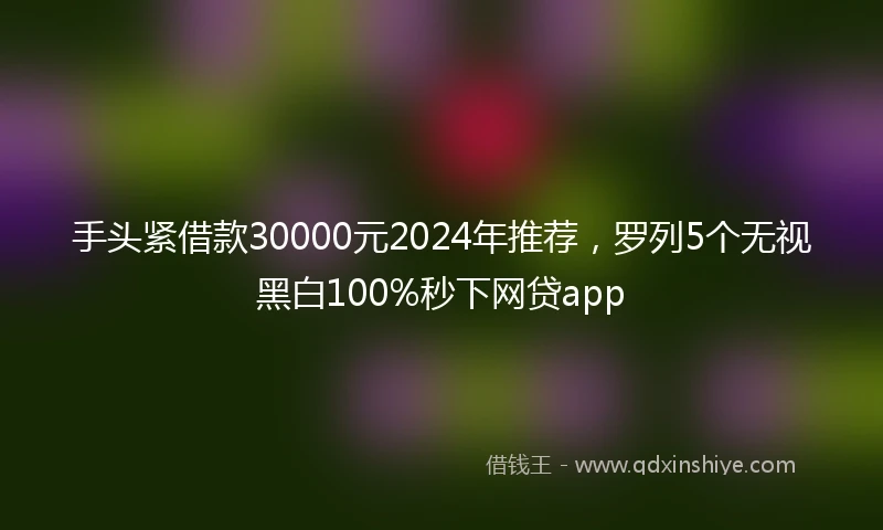 手头紧借款30000元2024年推荐，罗列5个无视黑白100%秒下网贷app