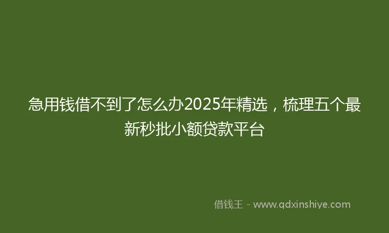 急用钱借不到了怎么办2025年精选，梳理五个最新秒批小额贷款平台