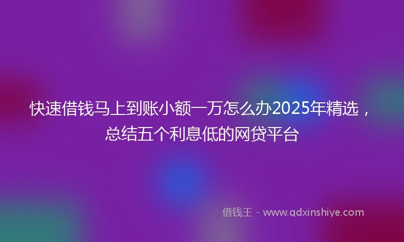 快速借钱马上到账小额一万怎么办2025年精选，总结五个利息低的网贷平台