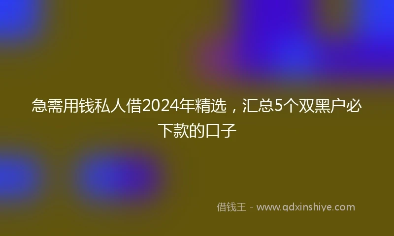 急需用钱私人借2024年精选，汇总5个双黑户必下款的口子