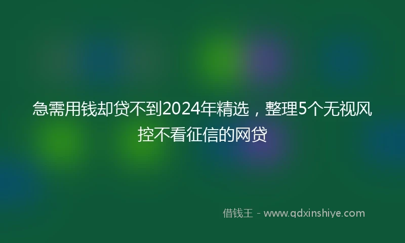 急需用钱却贷不到2024年精选，整理5个无视风控不看征信的网贷