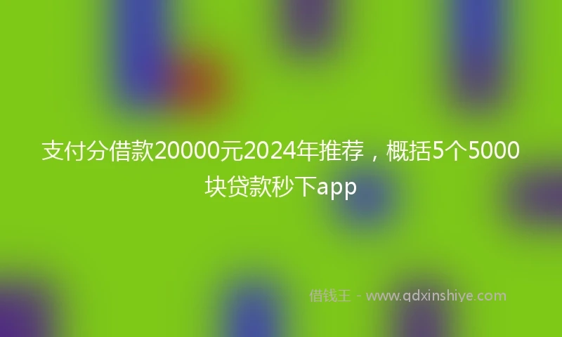支付分借款20000元2024年推荐，概括5个5000块贷款秒下app