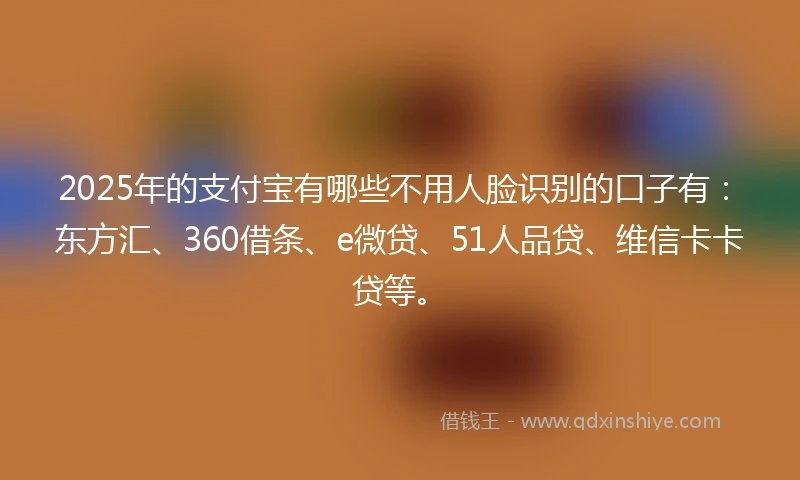 2025年的支付宝有哪些不用人脸识别的口子有：东方汇、360借条、e微贷、51人品贷、维信卡卡贷等。