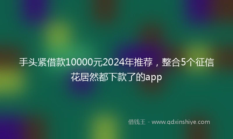 手头紧借款10000元2024年推荐，整合5个征信花居然都下款了的app