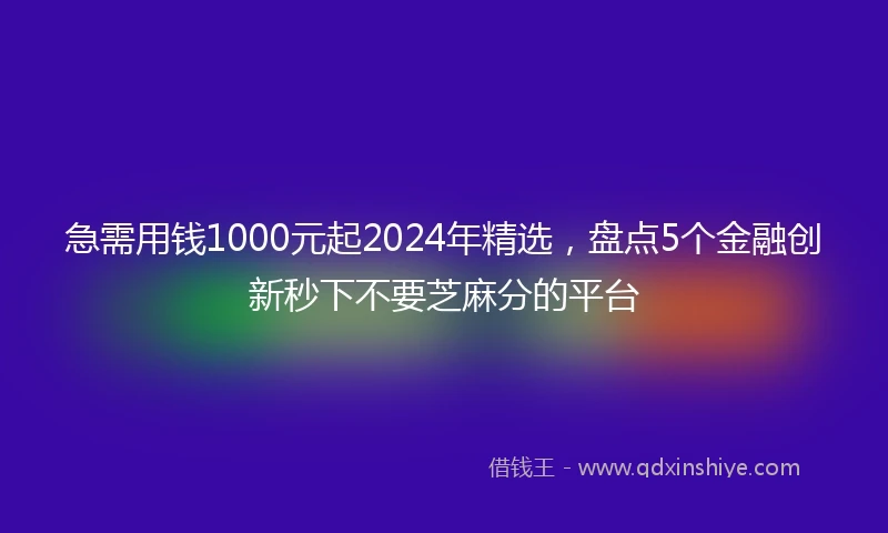 急需用钱1000元起2024年精选，盘点5个金融创新秒下不要芝麻分的平台