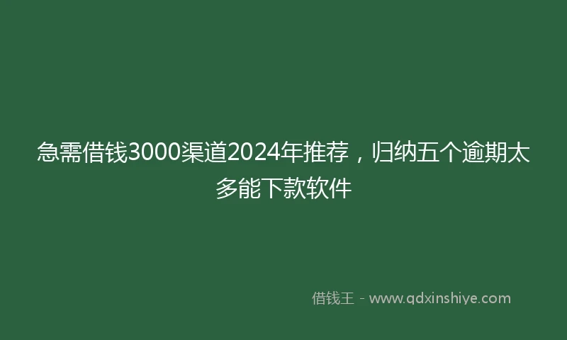 急需借钱3000渠道2024年推荐，归纳五个逾期太多能下款软件
