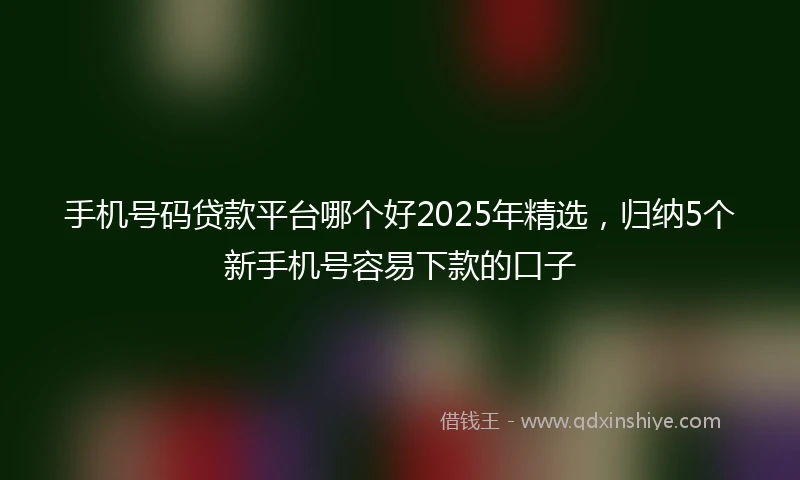 手机号码贷款平台哪个好2025年精选，归纳5个新手机号容易下款的口子