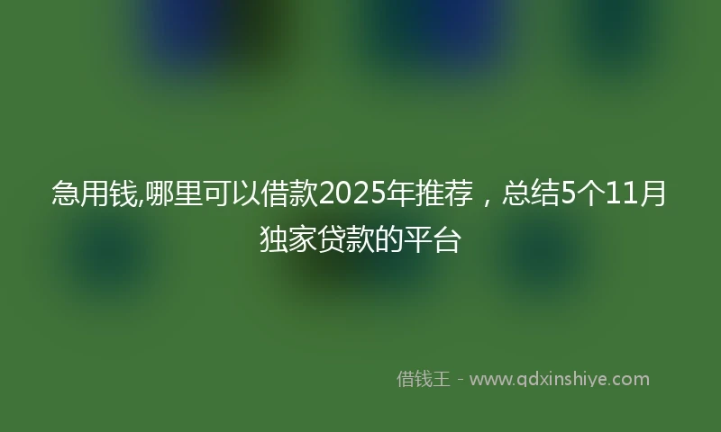 急用钱,哪里可以借款2025年推荐，总结5个11月独家贷款的平台