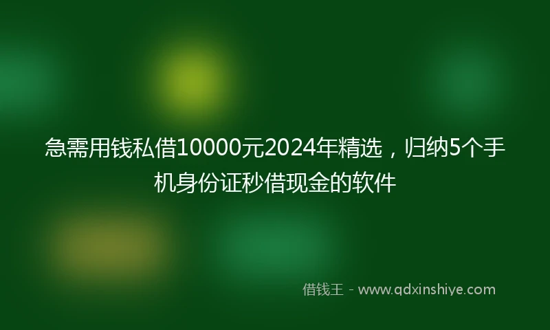 急需用钱私借10000元2024年精选，归纳5个手机身份证秒借现金的软件