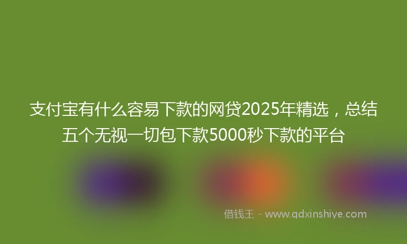支付宝有什么容易下款的网贷2025年精选，总结五个无视一切包下款5000秒下款的平台