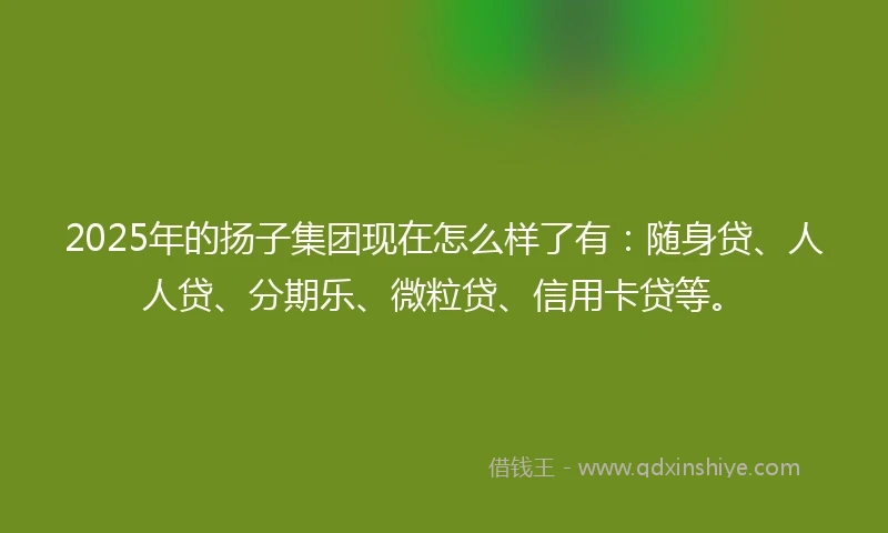 2025年的扬子集团现在怎么样了有：随身贷、人人贷、分期乐、微粒贷、信用卡贷等。