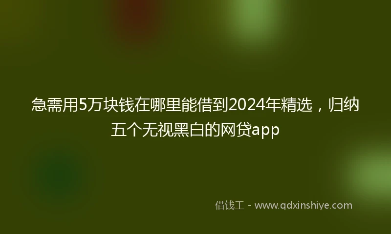 急需用5万块钱在哪里能借到2024年精选，归纳五个无视黑白的网贷app