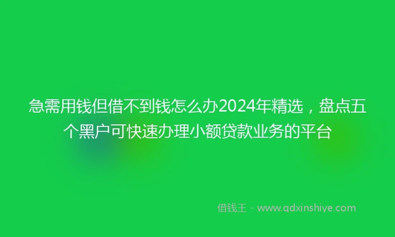 急需用钱但借不到钱怎么办2024年精选，盘点五个黑户可快速办理小额贷款业务的平台