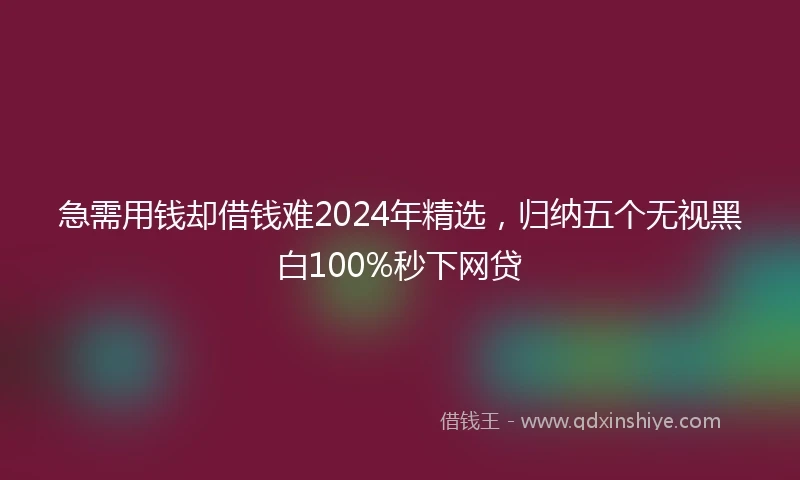 急需用钱却借钱难2024年精选，归纳五个无视黑白100%秒下网贷