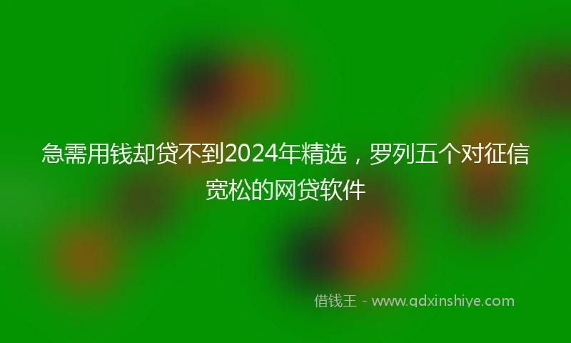 急需用钱却贷不到2024年精选，罗列五个对征信宽松的网贷软件